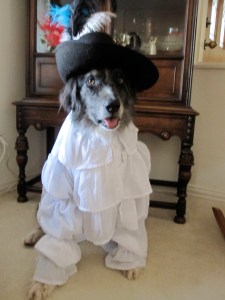 Wrangler in puffy shirt