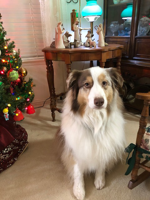 E6880C97-1088-41F9-8E50-226EEA04AF52