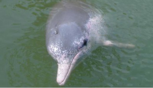 7DBEEAEE-C849-4BAD-A959-5D79D95C8B37_4_5005_c