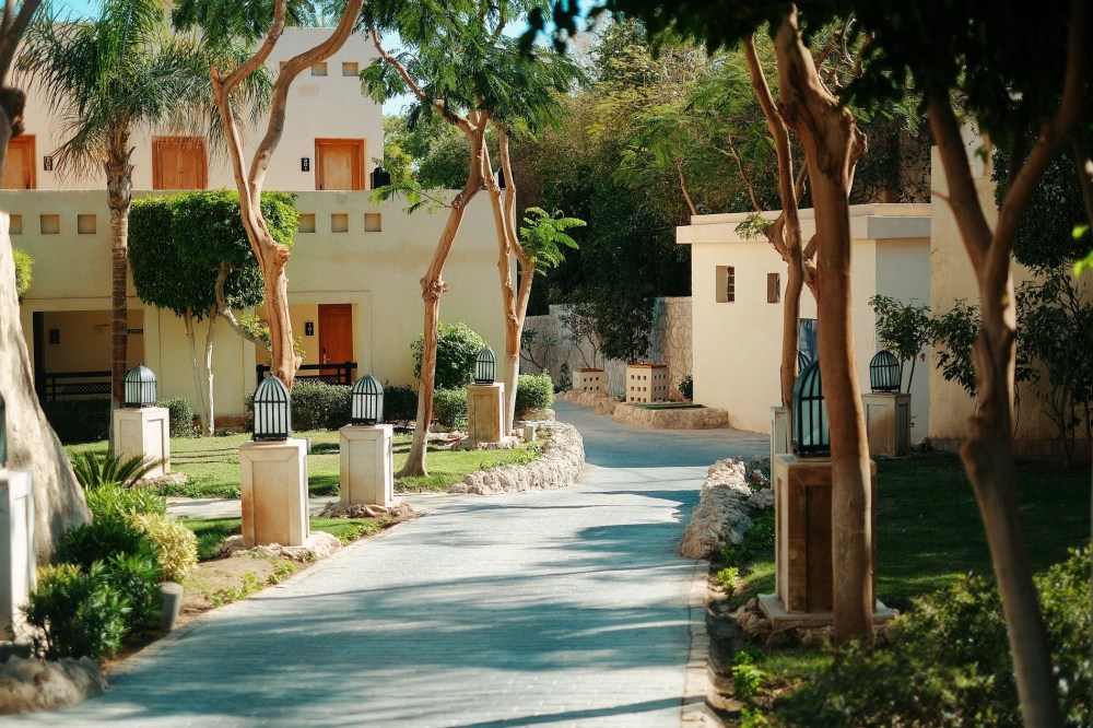 3AEF6A12-0CFB-4548-A091-0C5C055CDC04