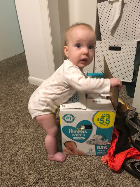 282927E4-DA44-4440-8DA9-727EAF1CAE51