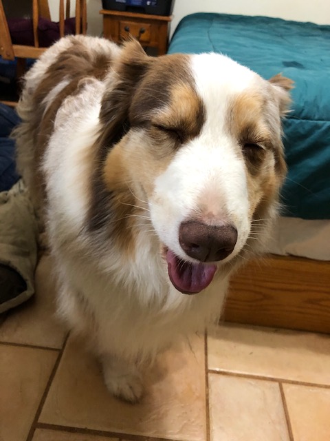 84A14868-3462-4DDB-8ECE-C9465DD256A0