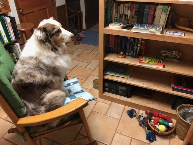 21F2C6ED-E886-4958-9B7D-2D4744CDA314