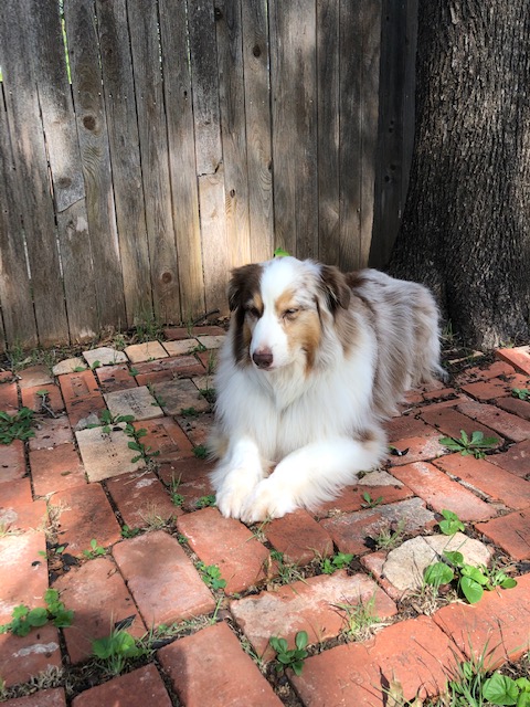 051F7176-0198-42C4-8CB0-9F19D8EA1DC9