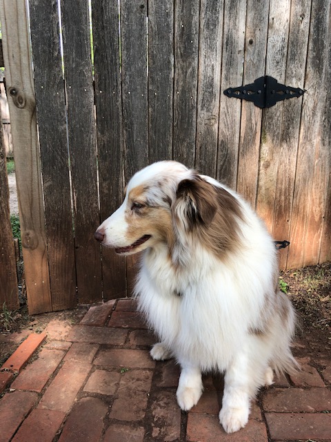 1153AB8B-2055-4C15-8C7D-62A1613FDEBA