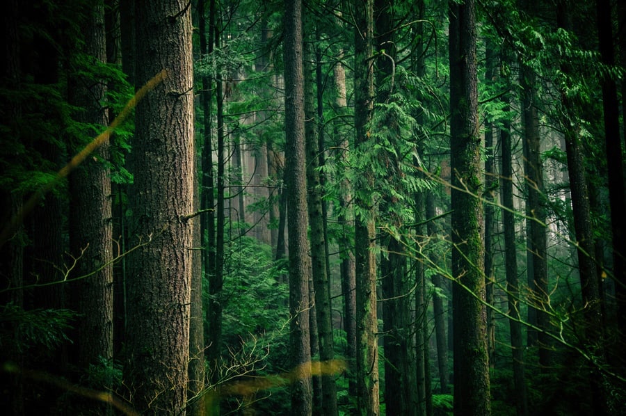 28356532-BF32-4F4F-823D-289891D5C895