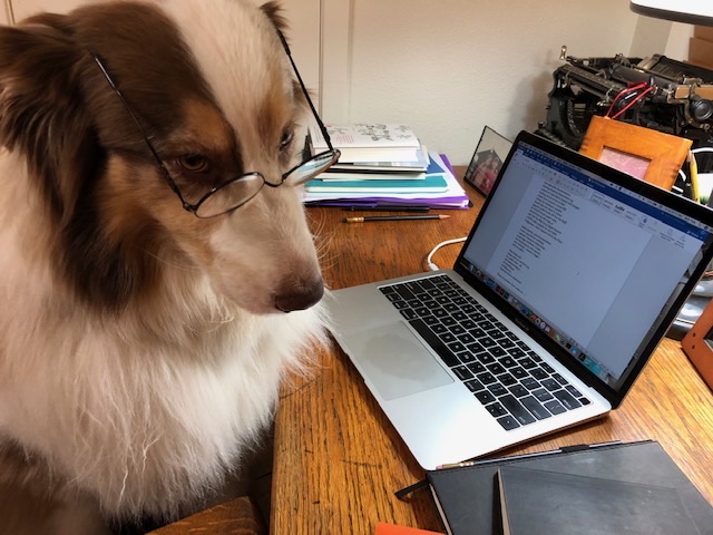 37F0AE9F-7A1F-4A76-A7C5-3313D84CAA14_1_105_c