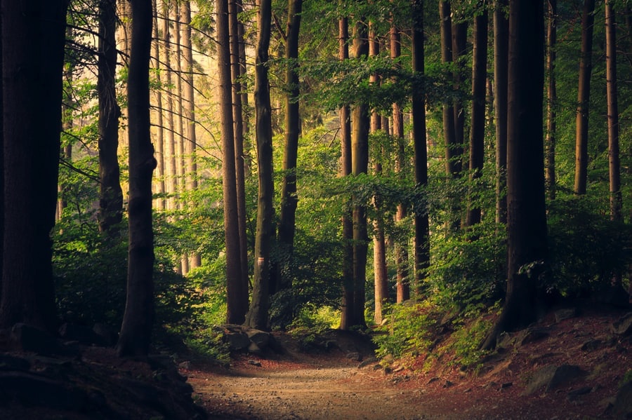 59CC8111-BFB2-4AD2-A9EE-A09F1EB5467D