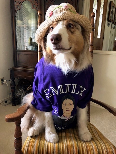 C06B5ABE-4A4B-4339-B577-A11DCC8ECF0E_1_105_c